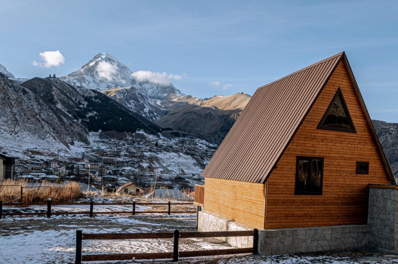 Appartamento Hillside Kazbegi Esterno foto